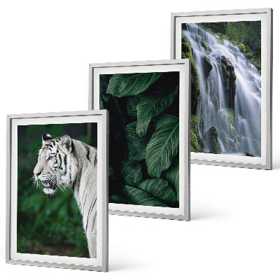 Set tablouri decorative Cascada cu frunze de tigru alb