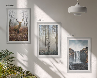 Set tablouri decorative Peisaje forestiere natură sălbatică