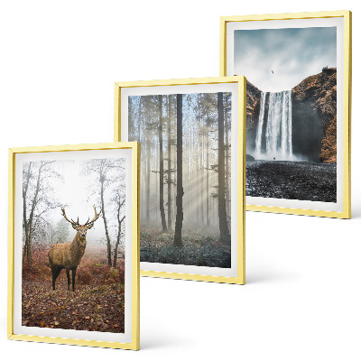 Set tablouri decorative Peisaje forestiere natură sălbatică