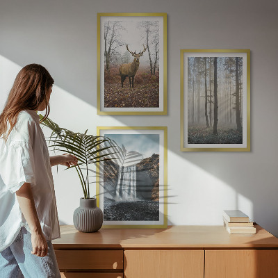 Set tablouri decorative Peisaje forestiere natură sălbatică