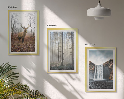 Set tablouri decorative Peisaje forestiere natură sălbatică
