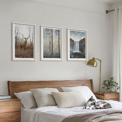 Set tablouri decorative Peisaje forestiere natură sălbatică