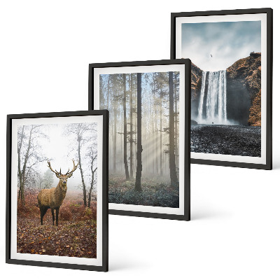 Set tablouri decorative Peisaje forestiere natură sălbatică