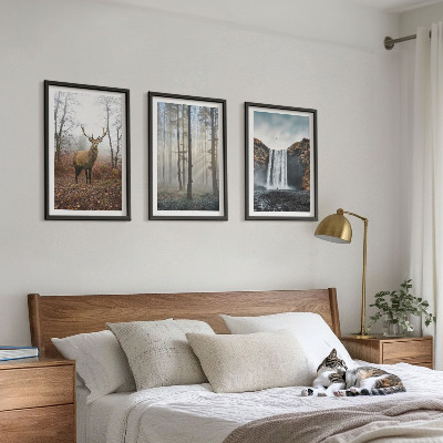 Set tablouri decorative Peisaje forestiere natură sălbatică