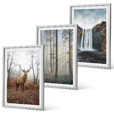 Set tablouri decorative Peisaje forestiere natură sălbatică