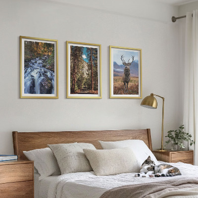 Set tablouri decorative Cascadă pădure munți cerb natură