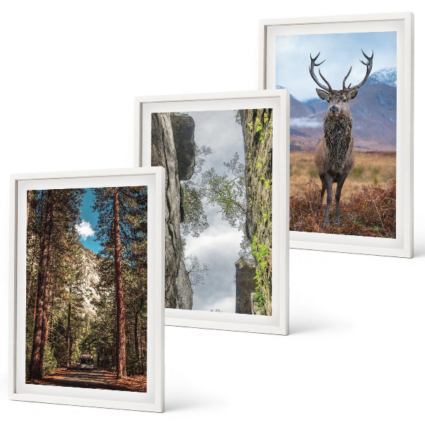 Set tablouri pentru dormitor drum pădure munți cerb natură