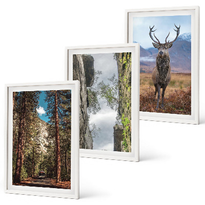 Set tablouri pentru dormitor drum pădure munți cerb natură