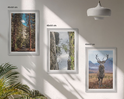 Set tablouri pentru dormitor drum pădure munți cerb natură
