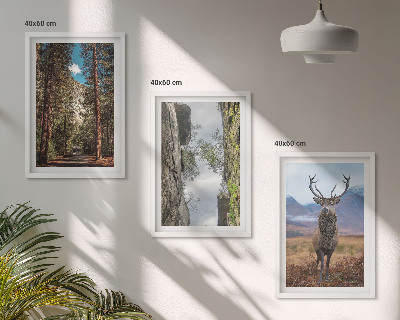 Set tablouri pentru dormitor drum pădure munți cerb natură