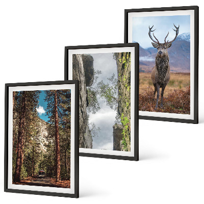 Set tablouri pentru dormitor drum pădure munți cerb natură