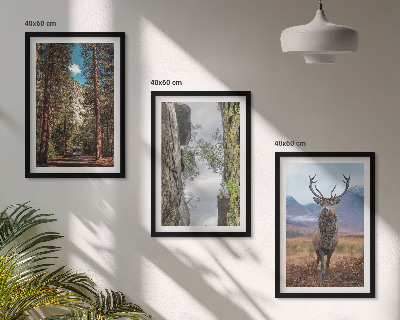 Set tablouri pentru dormitor drum pădure munți cerb natură