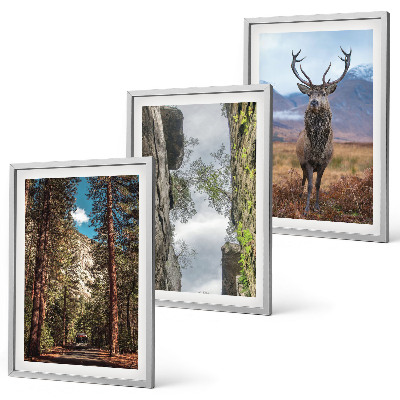 Set tablouri pentru dormitor drum pădure munți cerb natură