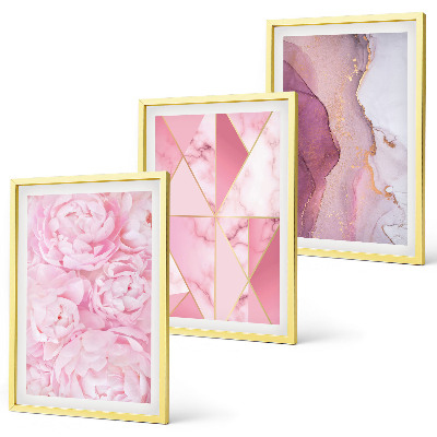 Set tablouri decorative Bujori geometrici roz