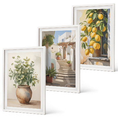 Set tablouri decorative Stradă cu plante de lămâie în ghiveci