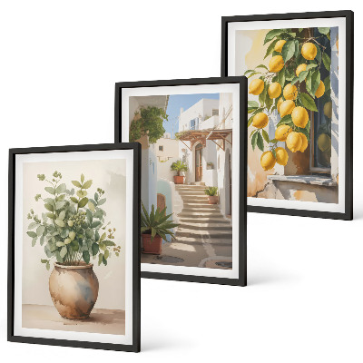 Set tablouri decorative Stradă cu plante de lămâie în ghiveci