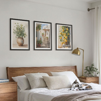 Set tablouri decorative Stradă cu plante de lămâie în ghiveci