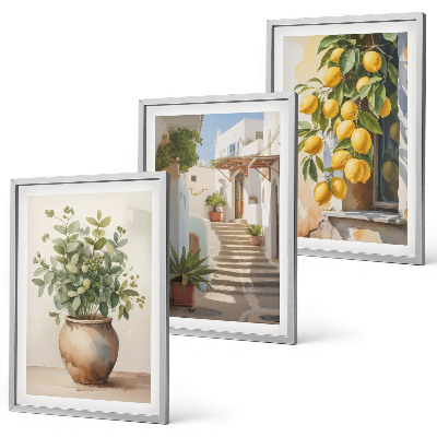 Set tablouri decorative Stradă cu plante de lămâie în ghiveci