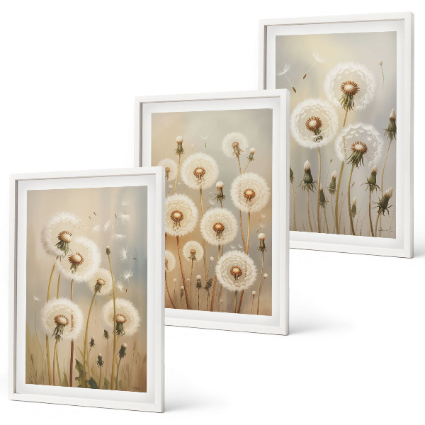 Set tablouri decorative Păpădii albe pe un fundal deschis
