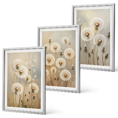 Set tablouri decorative Păpădii albe pe un fundal deschis