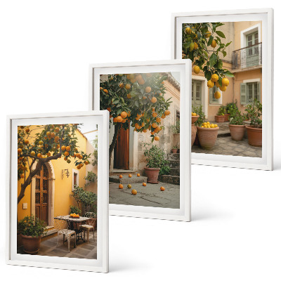 Set tablouri decorative Soarele de citrice din grădină