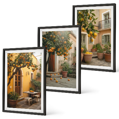 Set tablouri decorative Soarele de citrice din grădină