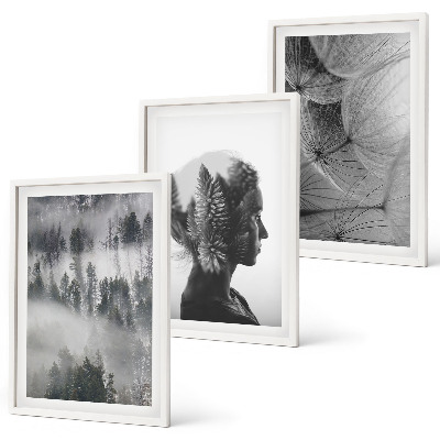 Set tablouri decorative Portret de ceață de pădure, păpădie, copac