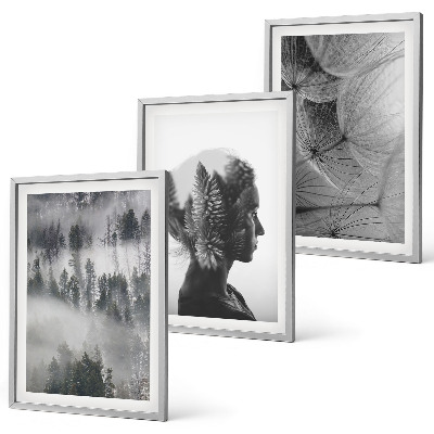 Set tablouri decorative Portret de ceață de pădure, păpădie, copac
