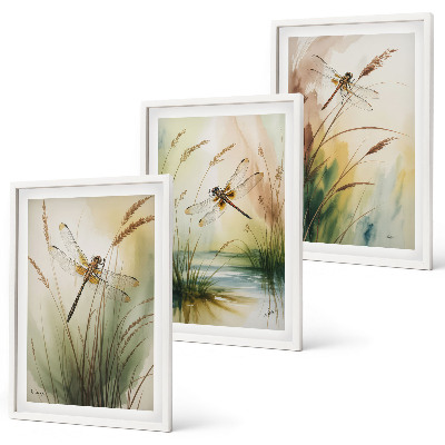 Set tablouri decorative Pictură cu apă pe iarbă cu libelule