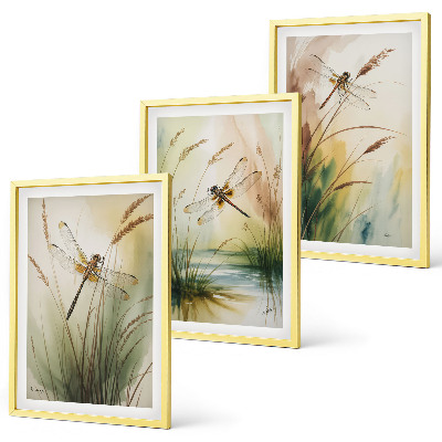 Set tablouri decorative Pictură cu apă pe iarbă cu libelule