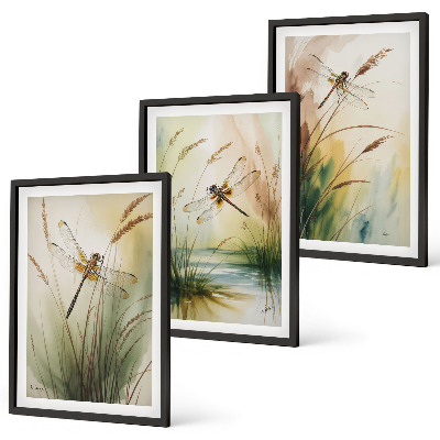 Set tablouri decorative Pictură cu apă pe iarbă cu libelule