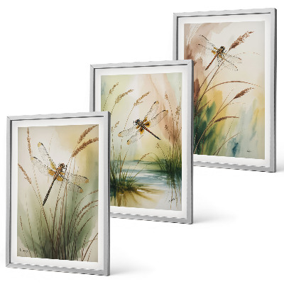 Set tablouri decorative Pictură cu apă pe iarbă cu libelule