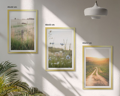 Set tablouri decorative Peisaje natură câmpuri cale