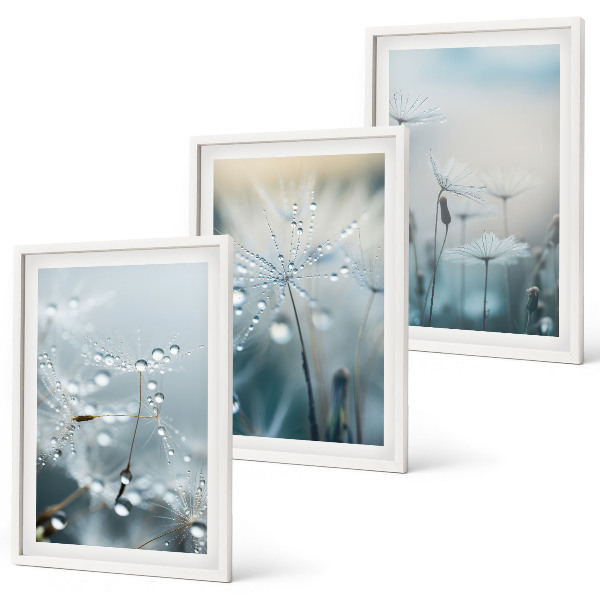 Set tablouri decorative Picături de rouă pe păpădii