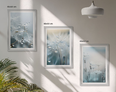 Set tablouri decorative Picături de rouă pe păpădii
