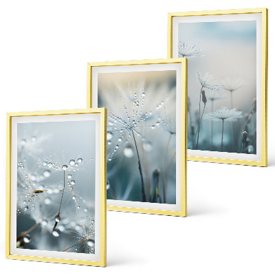 Set tablouri decorative Picături de rouă pe păpădii