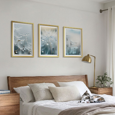 Set tablouri decorative Picături de rouă pe păpădii