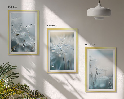 Set tablouri decorative Picături de rouă pe păpădii