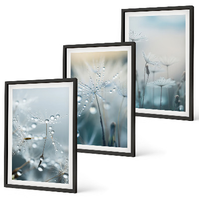 Set tablouri decorative Picături de rouă pe păpădii