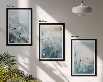 Set tablouri decorative Picături de rouă pe păpădii