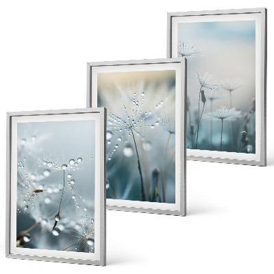 Set tablouri decorative Picături de rouă pe păpădii