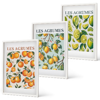 Set tablouri decorative Modele pastelate cu citrice fructate