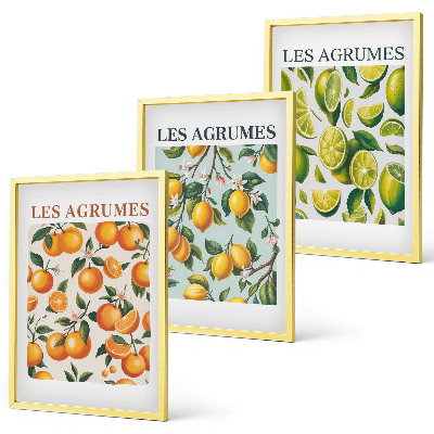Set tablouri decorative Modele pastelate cu citrice fructate