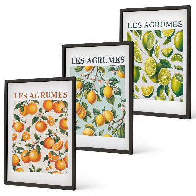 Set tablouri decorative Modele pastelate cu citrice fructate