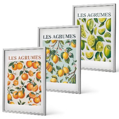 Set tablouri decorative Modele pastelate cu citrice fructate