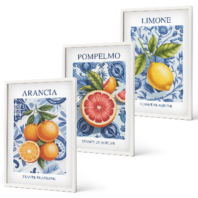 Set tablouri decorative Ilustrații vintage cu fructe citrice