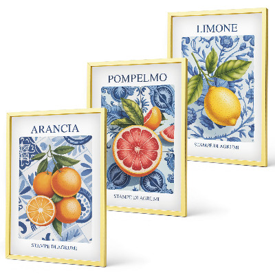 Set tablouri decorative Ilustrații vintage cu fructe citrice