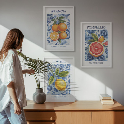 Set tablouri decorative Ilustrații vintage cu fructe citrice