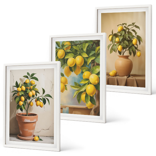 Set tablouri decorative Lămâi într-un ghiveci și o vază
