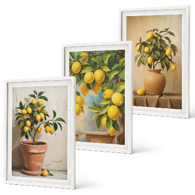 Set tablouri decorative Lămâi într-un ghiveci și o vază